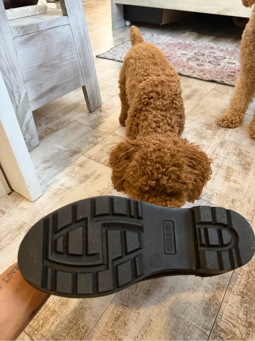 CELINE BRAND NEW RAINBOOTS - Picture 4 of 5